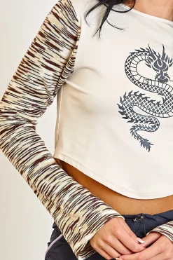 Women Daisy Street Tops-Knitted Sleeves Crop Top