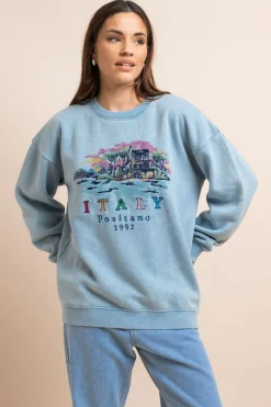 Women Daisy Street Hoodies & Sweatshirts-Washed Sweat With Print & Embroidery