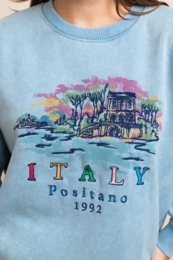 Women Daisy Street Hoodies & Sweatshirts-Washed Sweat With Print & Embroidery